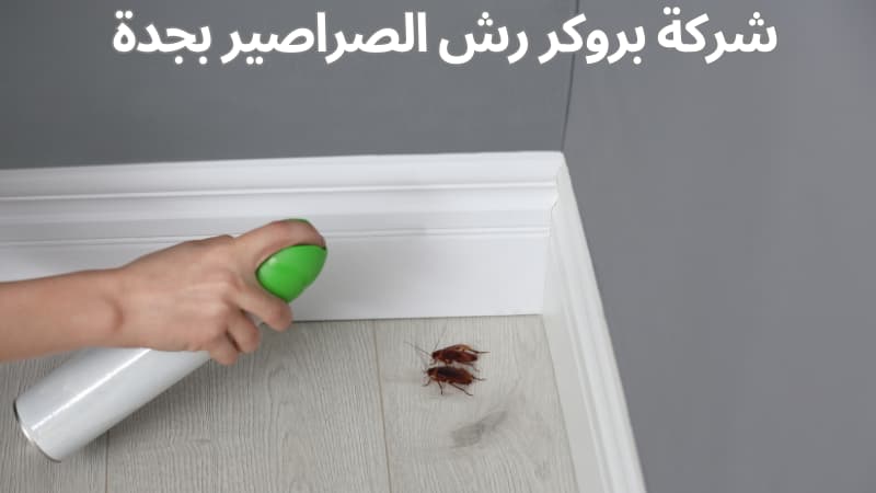 شركة بروكر رش الصراصير بجدة مكافحة الصراصير بخصم 50