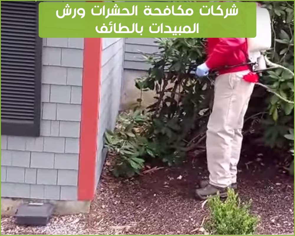 شركات مكافحة حشرات بالطائف